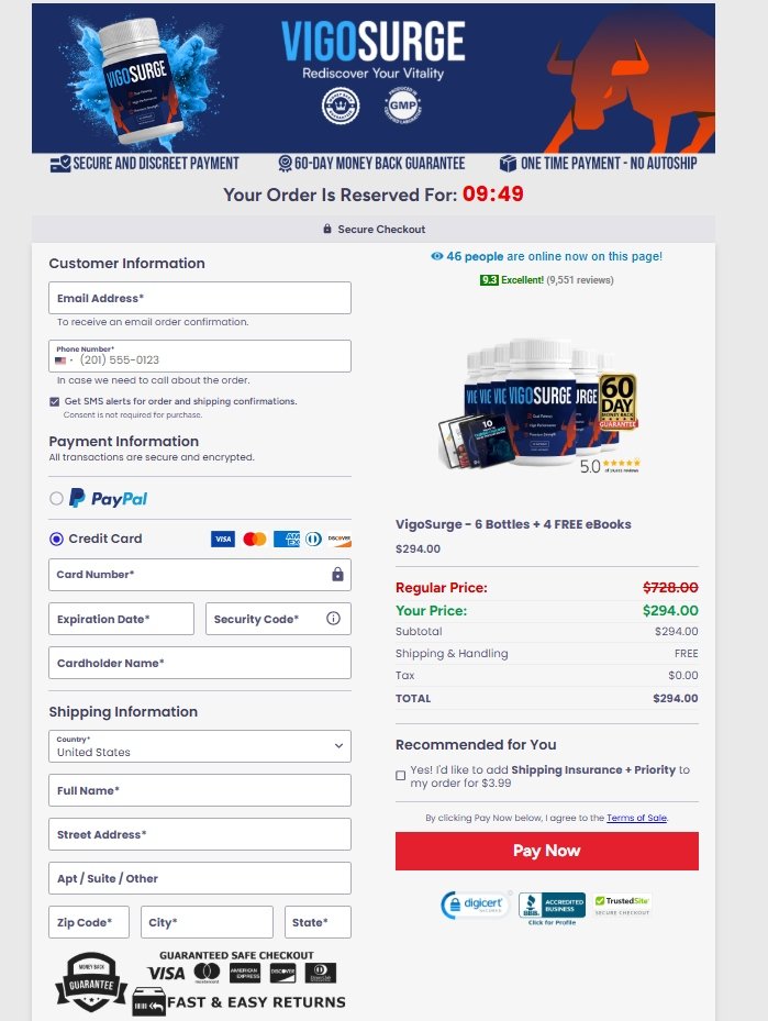 secure checkout payment for VigoSurge website